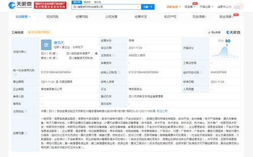 數字內容制作服務 在信息洪流中塑造品牌聲音與價值